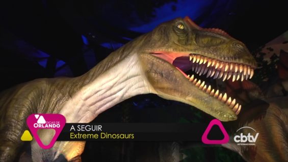 Dicas de Orlando – T2 E4 – Apresentação Naty Nevix