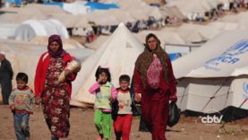 Projeto USA – T1 E35 – Apresentação Advogada Renata Castro